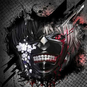 Meet your Posher, Nor hasan